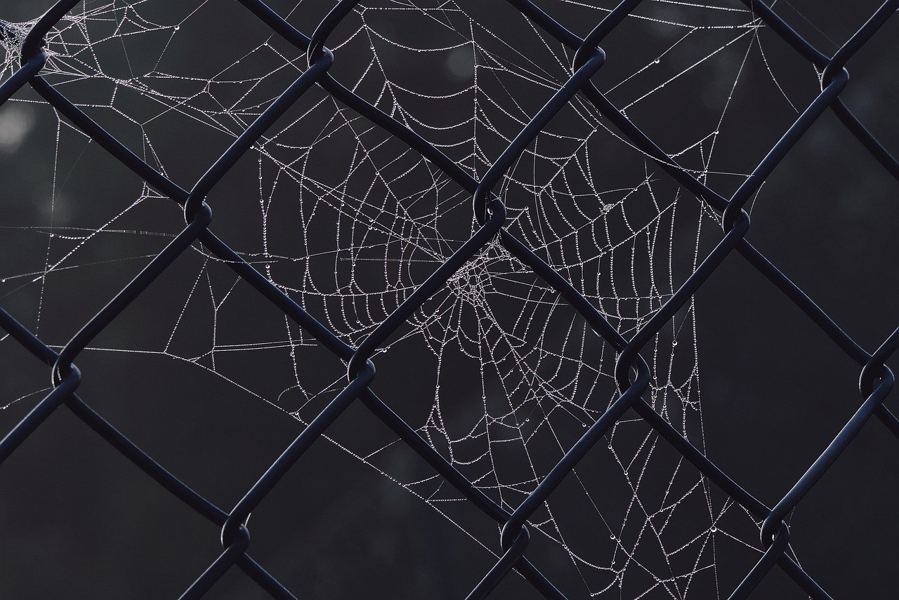 Halloween Safety: Keeping Kids Safe and Sound